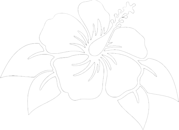 Experience West Hawaii