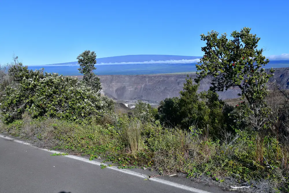 A lush green landscape with volcanic crater and ocean view in West Hawaii.